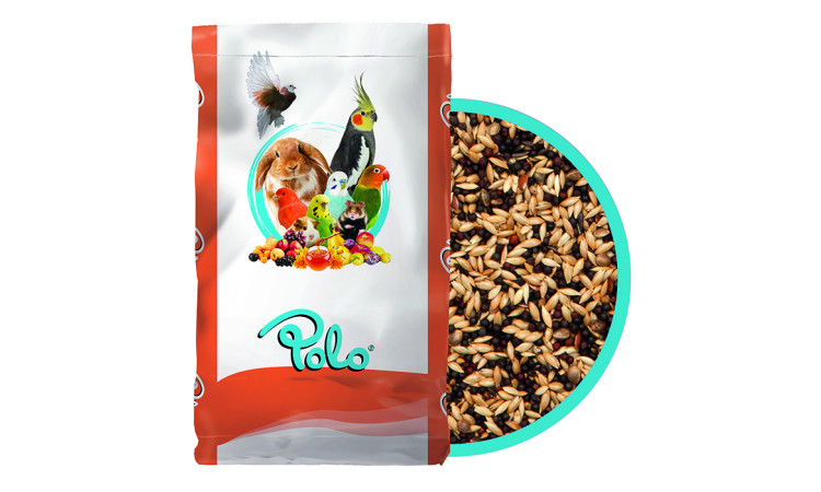 POLO KARIŞIK STANDART KANARYA YEMİ 20 KG